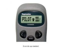 raymarine S100