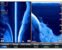 Sondes Imagerie