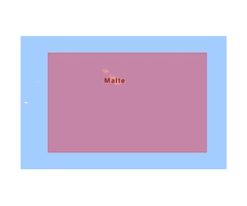 C-MAP MALTA-MAX M-EM-M107-MS cartographie marine